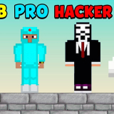Noob vs Pro